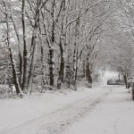 wanderweg-am-friedhof-wernikow-winter2017